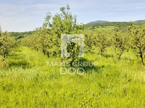 Prodaja, plac, 64800m², Kosmaj, Sopot - image 6