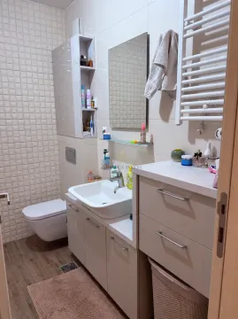 Savremeno opremljeno kupatilo sa umivaonikom, WC šoljom i zidnim ormarićem. - image 9
