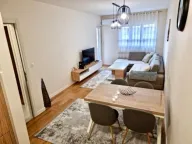 Izdavanje, jednosoban stan, 47m², Central Point, Podgorica - image 3