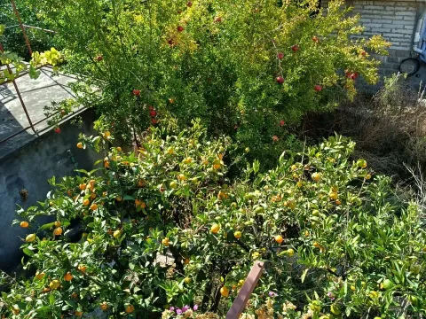 Sale, house, 128m², Dobre Vode, Bar - image 14