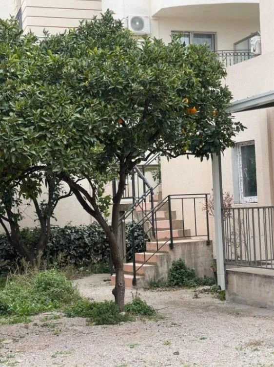 Prodaja, jednosoban stan, 47m2, Ilino, Bar