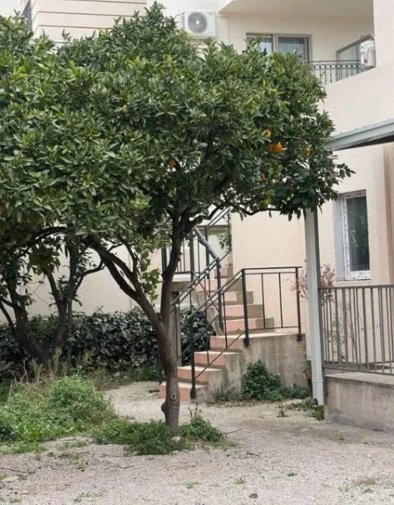 Sale, one bedroom apartment, 47m², Ilino, Bar