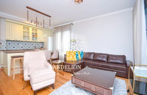 Rent, one bedroom apartment, 59m², Central Point, Podgorica - image 389