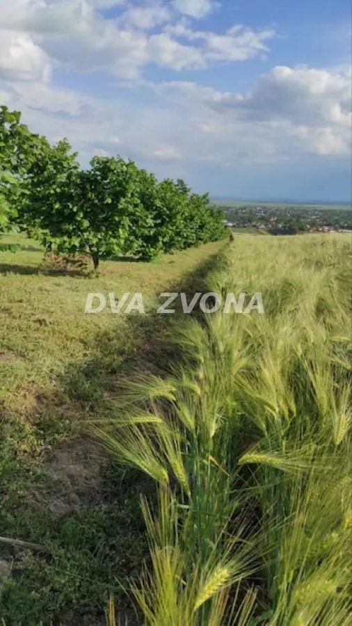 Prodaja, plac, 6800m², Stari Slankamen, Inđija
