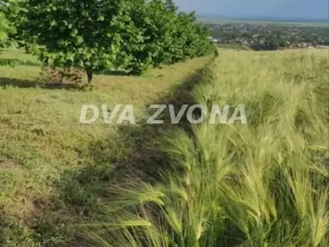 Prodaja, plac, 6800m², Stari Slankamen, Inđija - image 13