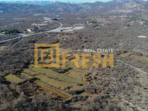 Sale, land lot, 10200m², Farmaci, Podgorica - image 5