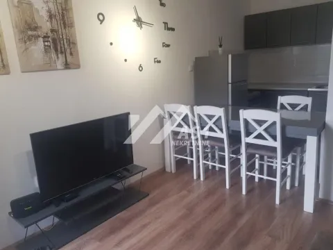 Izdavanje, stan, 25m², Adice, Novi Sad Sve Podlokacije - image 2
