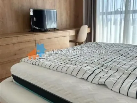 Rent, two bedroom apartment, 60m², Novi Beograd Blok 65, Novi Beograd Sve Podlokacije - image 5