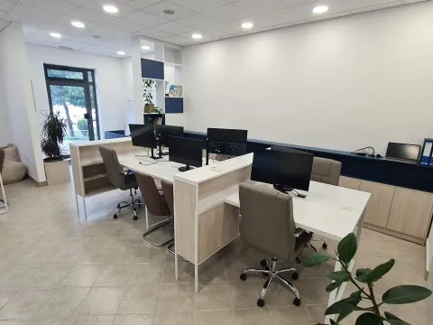 Izdavanje, poslovni prostor, 98m², Stari Aerodrom, Podgorica - image 10