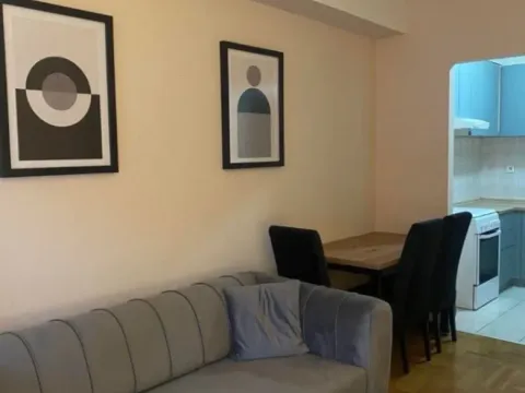 Izdavanje, jednosoban stan, 56m², City Kvart, Podgorica - image 3