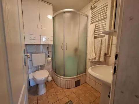 Prodaja, kuća, 253m², Banja Vrdnik, Irig - image 35