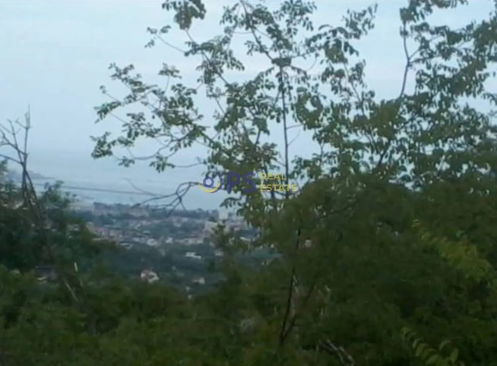Prodaja, plac, 10000m², Bar, Crna Gora