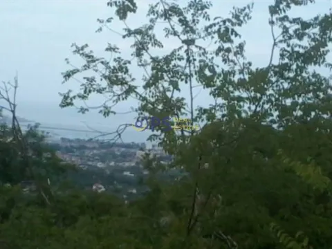 Prodaja, plac, 10000m², Bar, Crna Gora - image 2