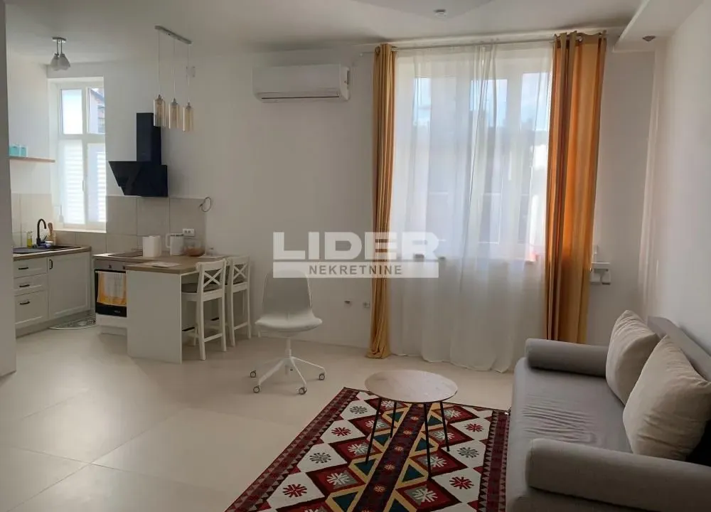 Izdavanje, jednosoban stan, 57m², Zemun Kej, Zemun Sve Podlokacije