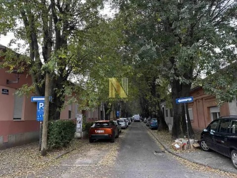 Street with tree lines and parked cars in front of buildings. - image 11