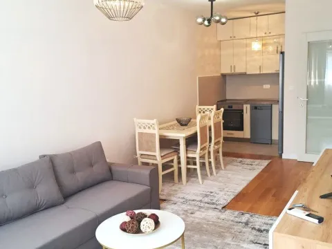 Rent, apartment, 46m², Central Point, Podgorica - image 2