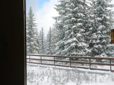 Prodaja, kuća, 110m², Uskoci, Žabljak - image 8