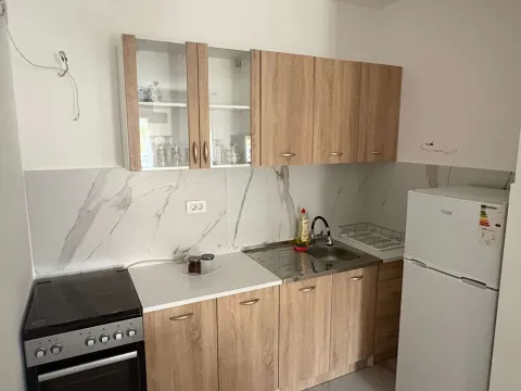 Rent, one bedroom apartment, 46m², Zabjelo, Podgorica - image 3