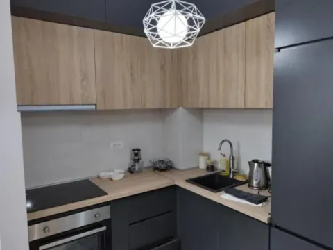 Izdavanje, jednosoban stan, 40m², Central Point, Podgorica - image 3