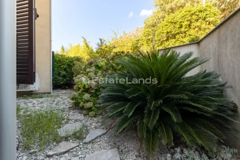 Uređeno dvorište kuće sa zelenilom i popločanim stazama. - image 8