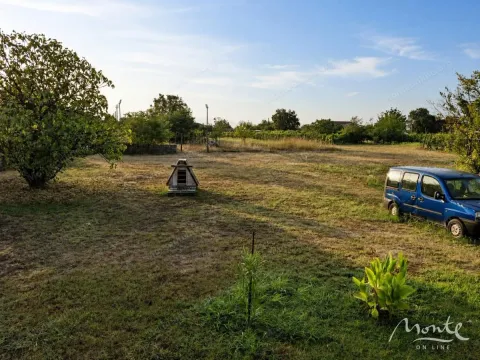 Pogled na prostrano dvorište sa zelenilom i drvećem. - image 18