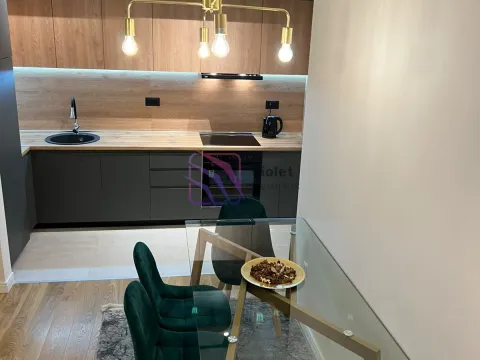 Izdavanje, jednosoban stan, 53m², Central Point, Podgorica - image 3
