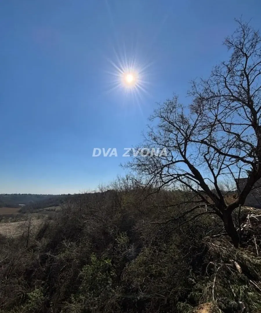 Prodaja, plac, 16700m², Čortanovci, Inđija