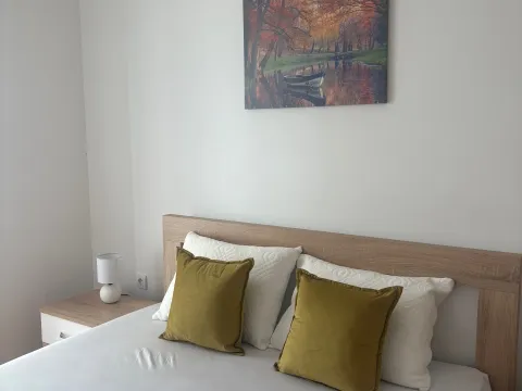 Stan-na-dan, jednosoban stan, 50m², Kava, Tivat - image 7