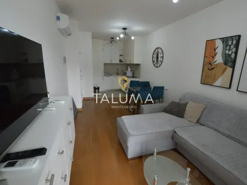 Izdavanje, jednosoban stan, 48m², Tološi, Podgorica - image 3