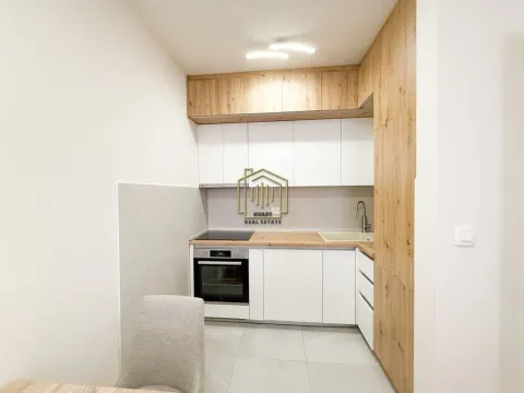 Izdavanje, jednosoban stan, 47m², Central Point, Podgorica - image 4