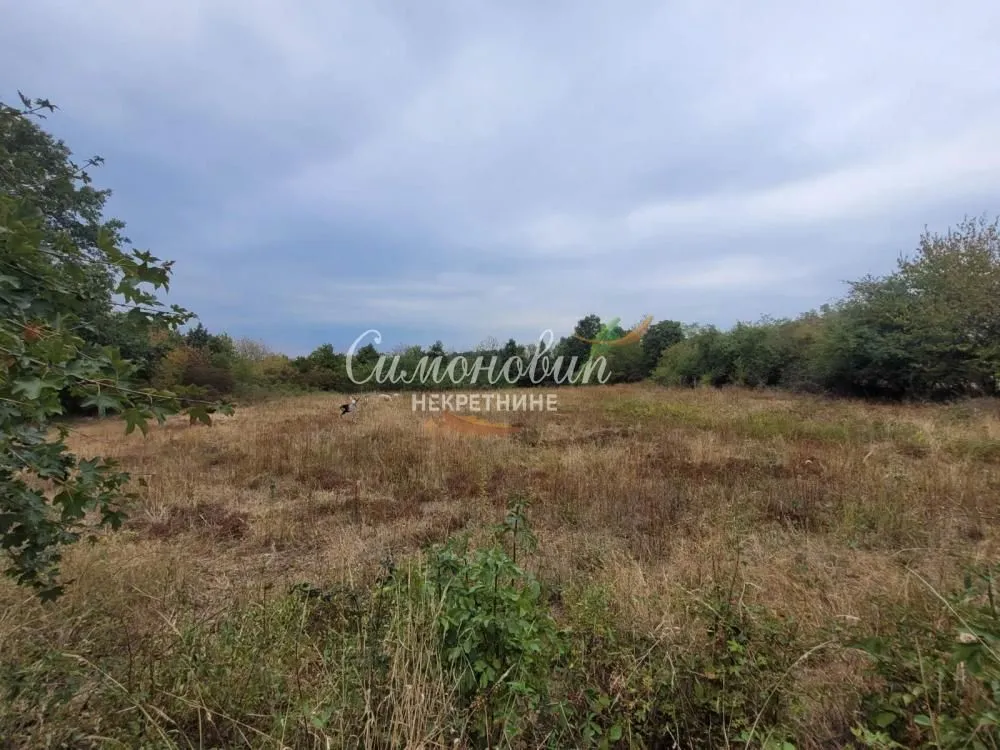 Pogled na zemljište sa travnatom površinom i rastinjem.