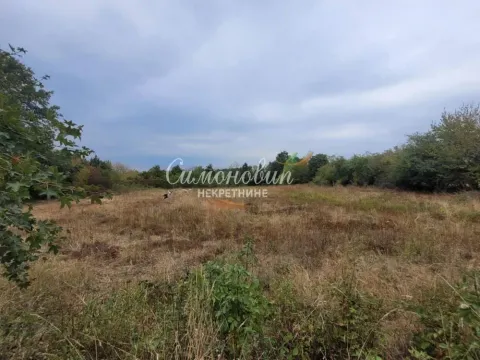 Pogled na zemljište sa travnatom površinom i rastinjem. - image 12