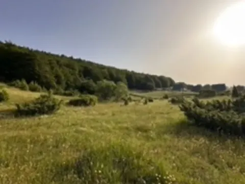 Prodaja, plac, 800m², Motički gaj, Žabljak - image 2