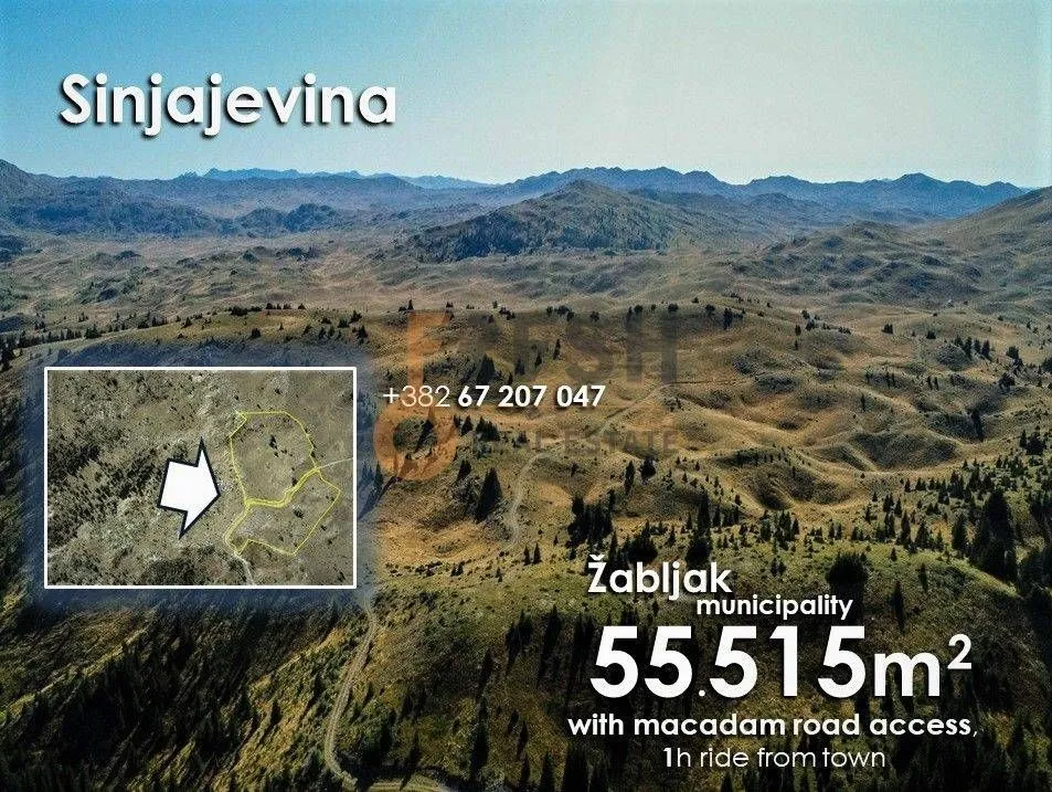 Prodaja, plac, 55515m², Žabljak, Crna Gora