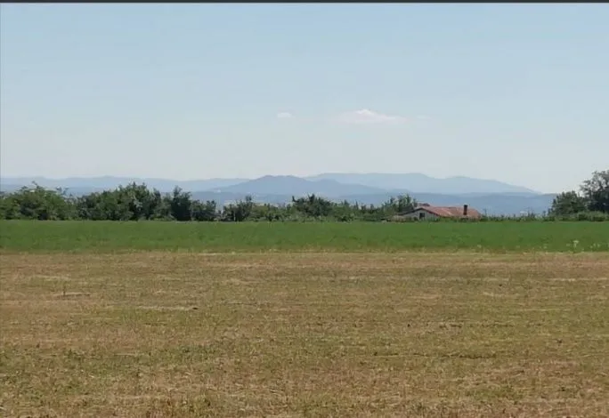 Prodaja, plac, 19500m², Koraćica, Mladenovac