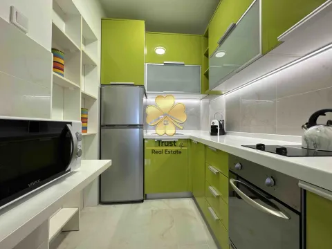 Izdavanje, jednosoban stan, 45m², Preko Morače, Podgorica - image 4