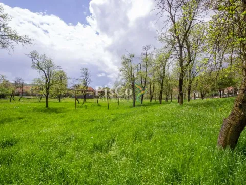 Sale, land lot, 1241m², Nikšić, Crna Gora - image 3