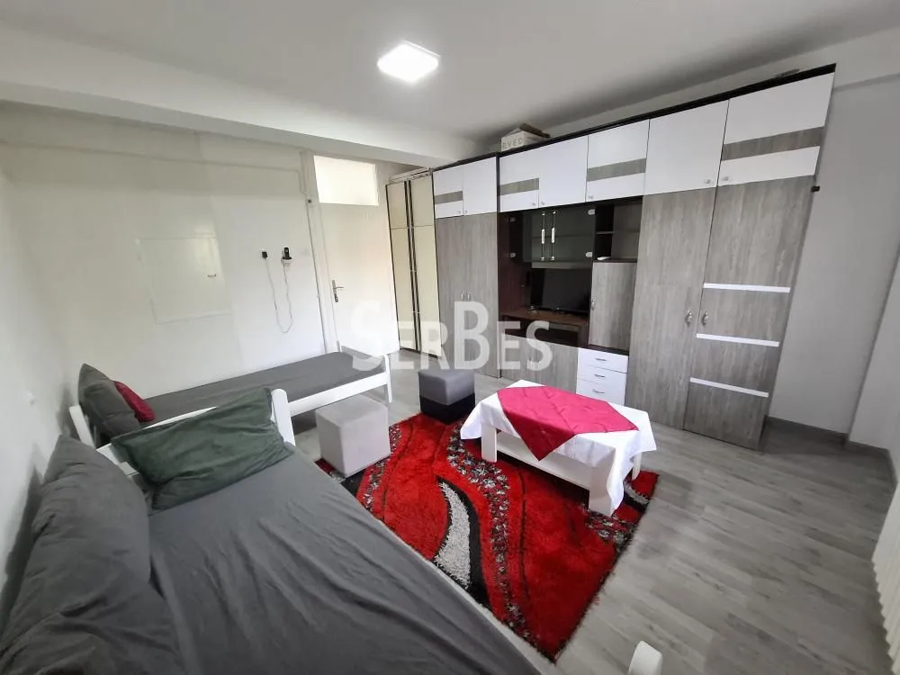 Izdavanje, jednosoban stan, 45m², Novo naselje, Novi Sad