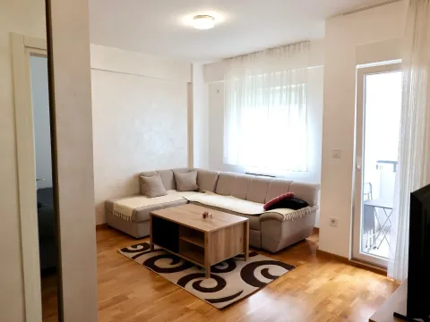 Izdavanje, jednosoban stan, 49m², Zabjelo, Podgorica - image 1