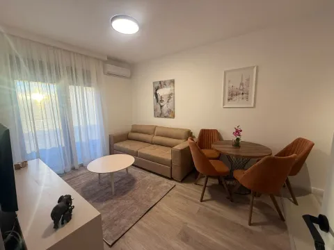 Rent, one bedroom apartment, 35m², Zabjelo, Podgorica - image 2