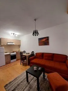 Izdavanje, jednosoban stan, 45m², Vezirov Most, Podgorica