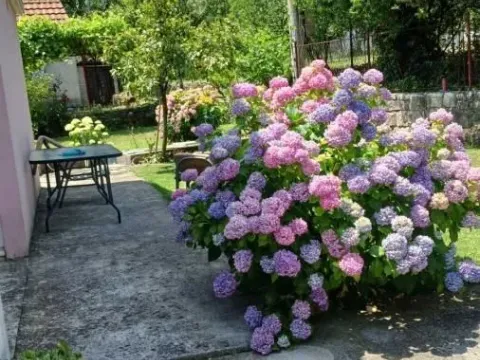 Prodaja, kuća, 140m², Glavica, Danilovgrad - image 2