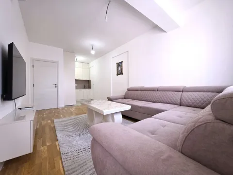Rent, one bedroom apartment, 44m², Stari Aerodrom, Podgorica - image 3