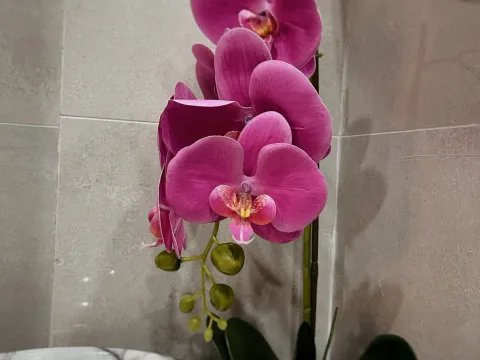 Sale, one bedroom apartment, 43m², Ulcinj, Crna Gora - image 15