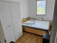 Izdavanje, dvosoban stan, 42m², Socijalno, Novi Sad Sve Podlokacije - image 8