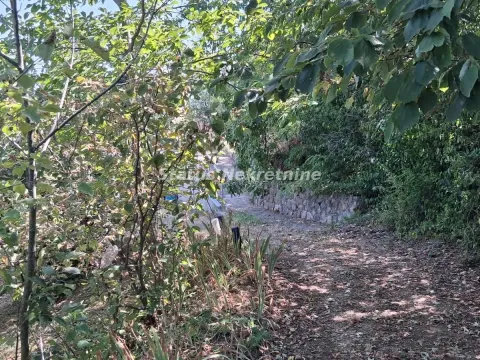 Prodaja, kuća, 30m², Ledinci, Petrovaradin - image 6