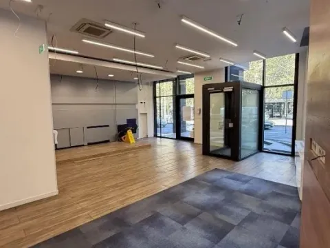 Poslovni prostor in Lion