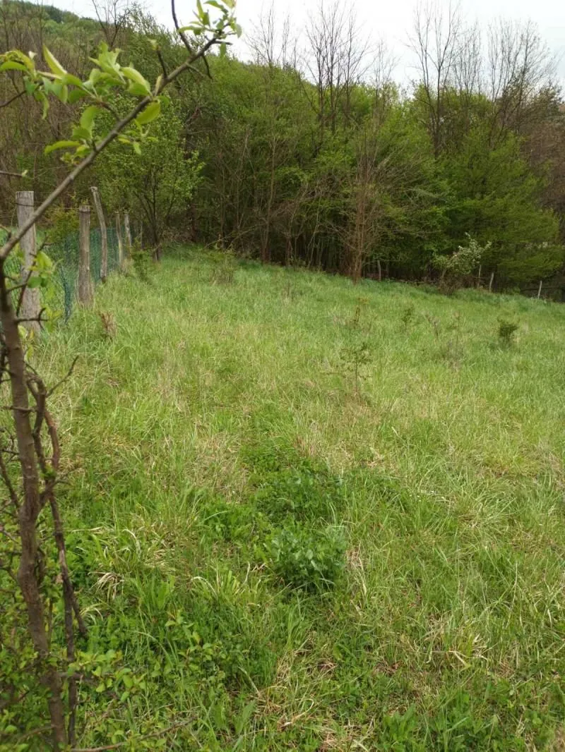 Prodaja, plac, 4700m², Babe, Sopot