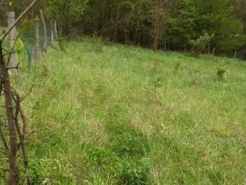 Sale, land lot, 4700m², Babe, Sopot - image 5