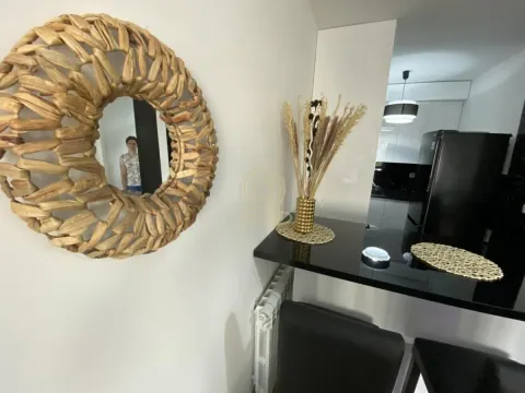 Rent, two bedroom apartment, 47m², Vukov Spomenik, Zvezdara Sve Podlokacije - image 12